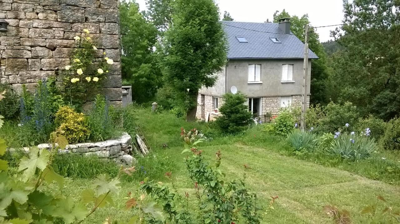לינה וארוחת בוקר Montredon  Au Domaine Des Oiseaux מראה חיצוני תמונה